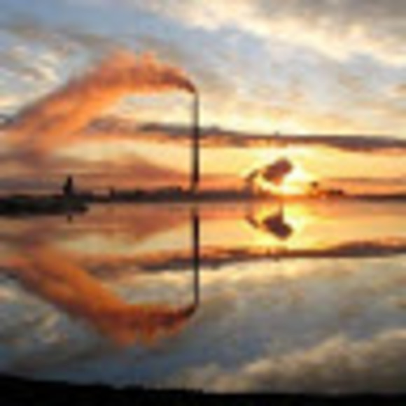 Meet your Posher, Lois - Picture 1 of 1